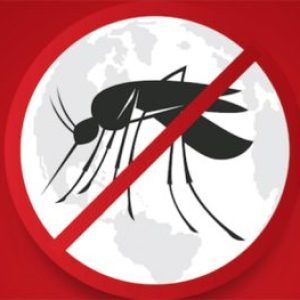 Logo du groupe Lutte contre le paludisme et les maladies tropicales